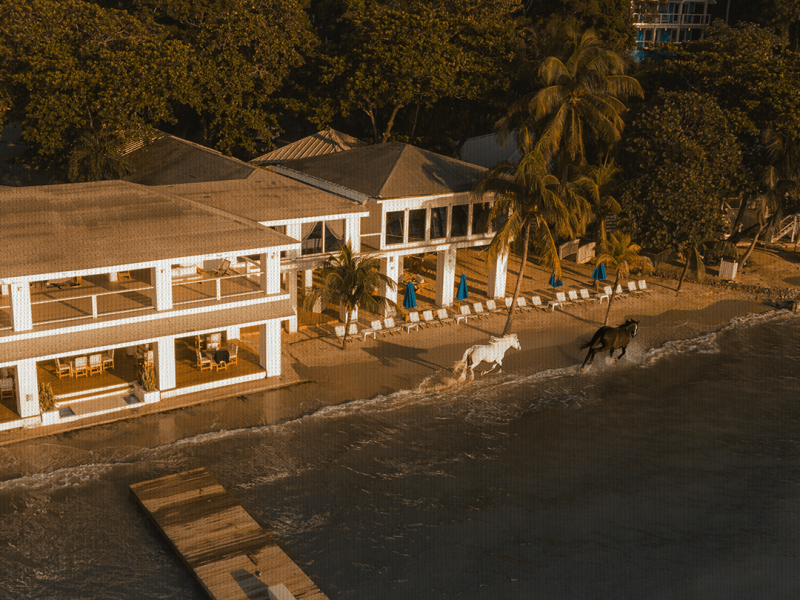 An aerial view of Luna Beach resort beside the Caribbean Sea